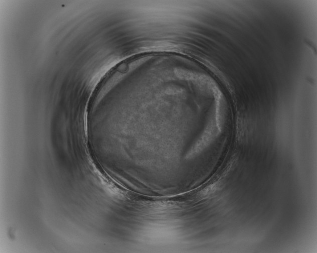 X0000103410988200809261639