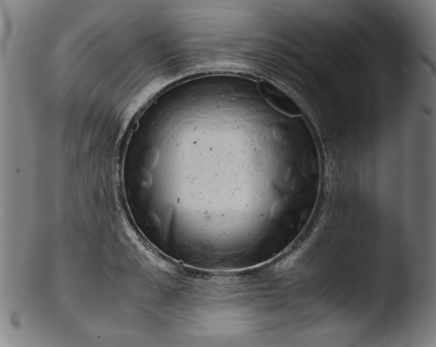 X0000103410989200809261639