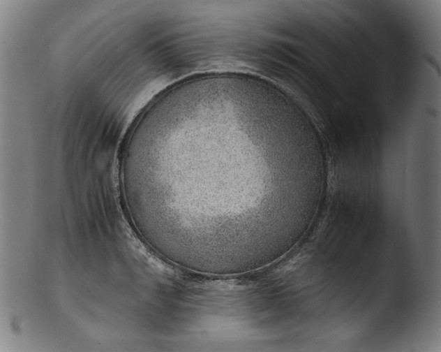 X0000103410990200809261639