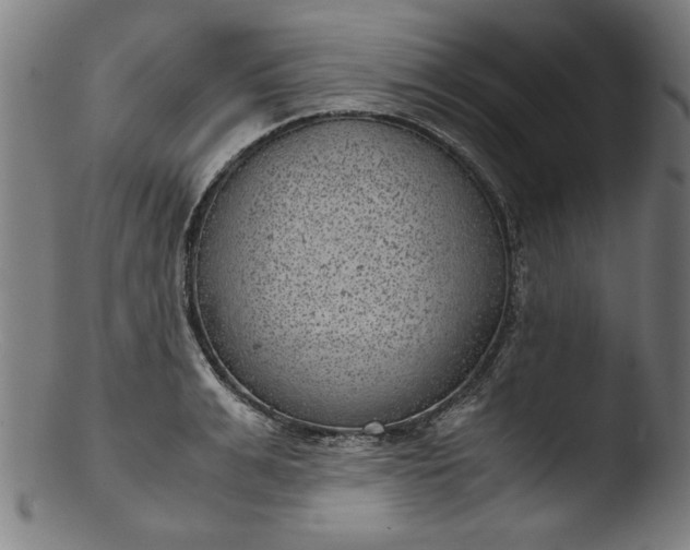 X0000103410991200809261639