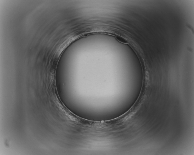 X0000103410993200809261639