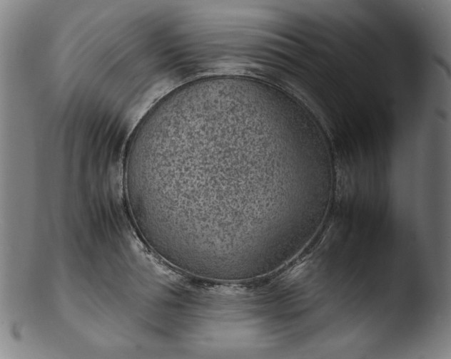 X0000103410994200809261639