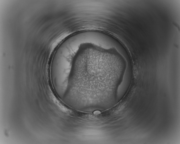 X0000103410995200809261639