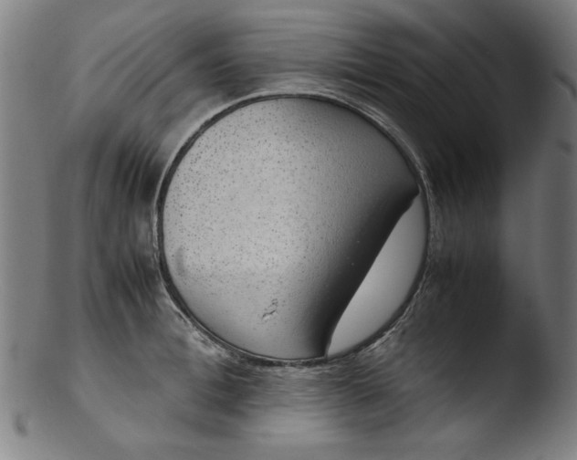 X0000103410996200809261639