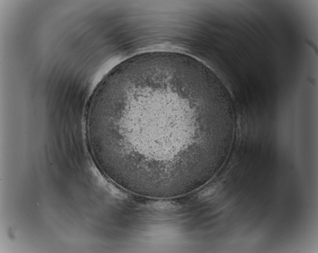 X0000103410998200809261639