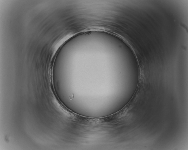 X0000103411003200809261639