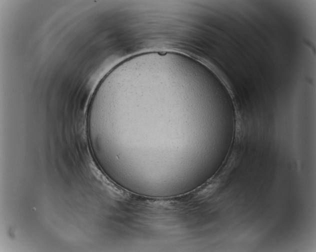 X0000103411004200809261639