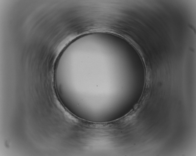 X0000103411005200809261639