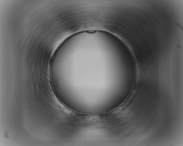 X0000103411006200809261639