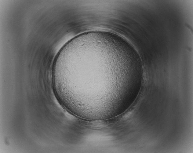 X0000103411007200809261639