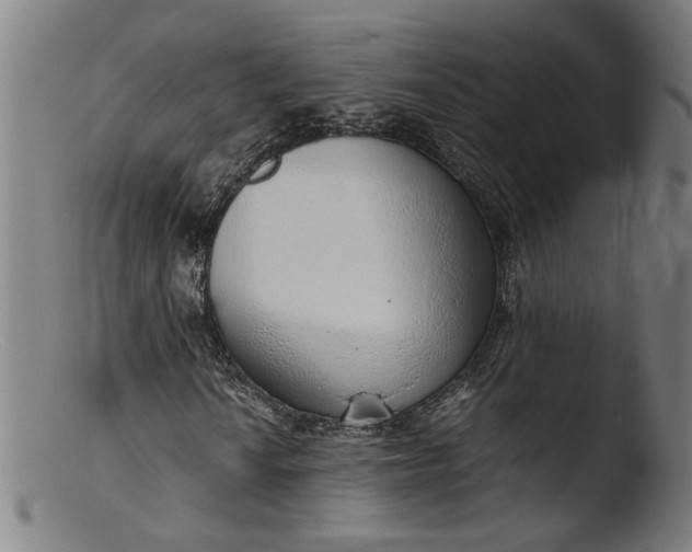 X0000103411010200809261638