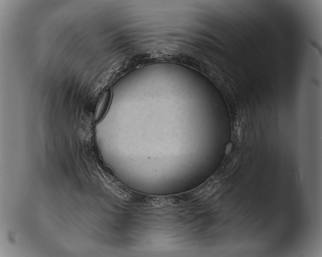 X0000103411012200809261638