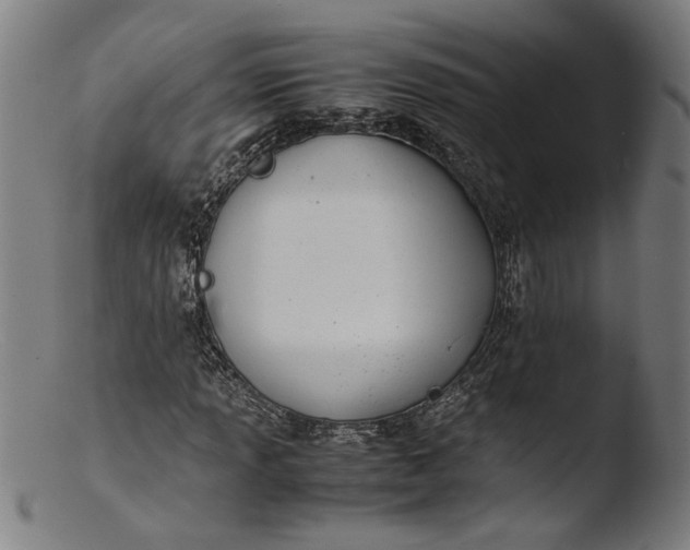 X0000103411013200809261638