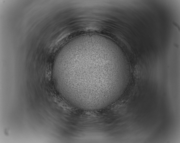 X0000103411015200809261638