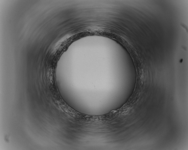 X0000103411016200809261638