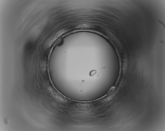 X0000103411017200809261638