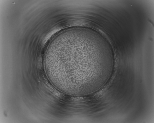 X0000103411019200809261638