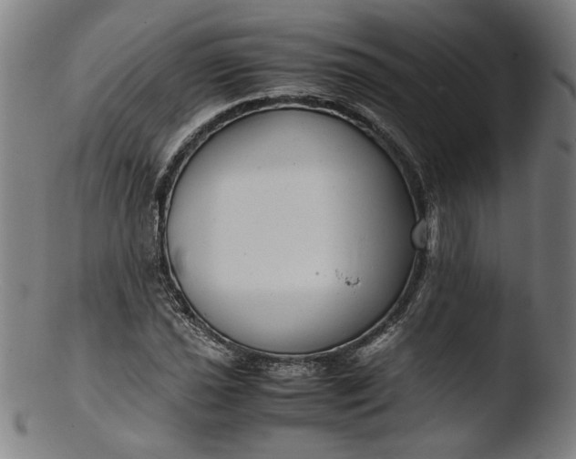 X0000103411021200809261638