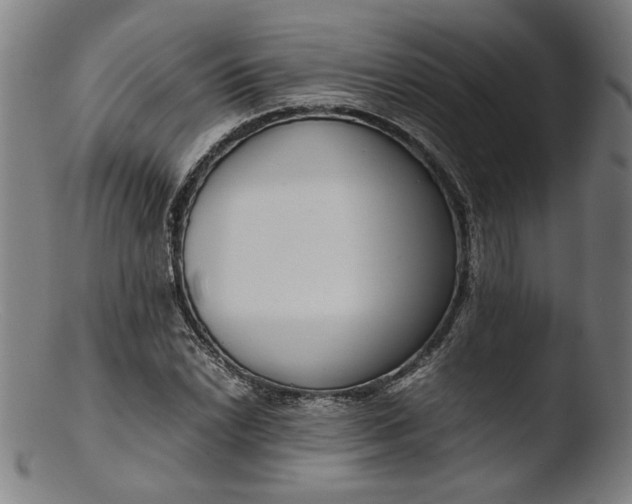 X0000103411022200809261638