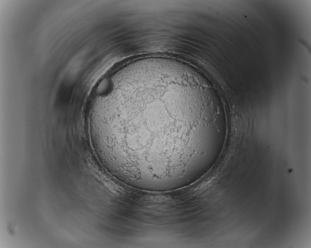 X0000103411023200809261638