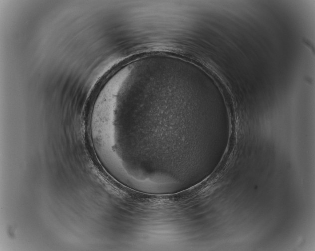 X0000103411024200809261638