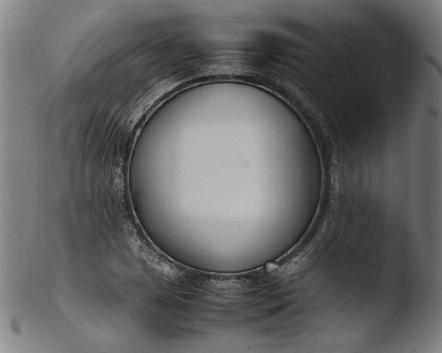 X0000103411025200809261638