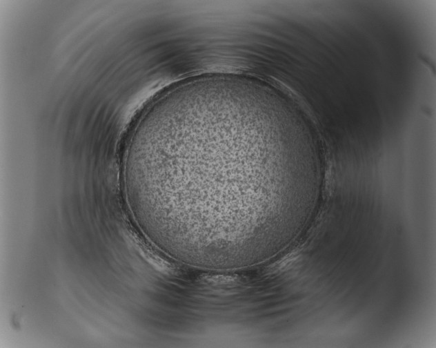 X0000103411027200809261638