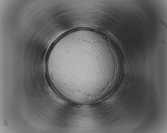 X0000103411028200809261638