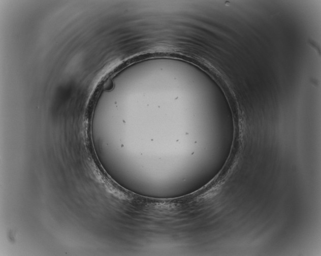 X0000103411029200809261638