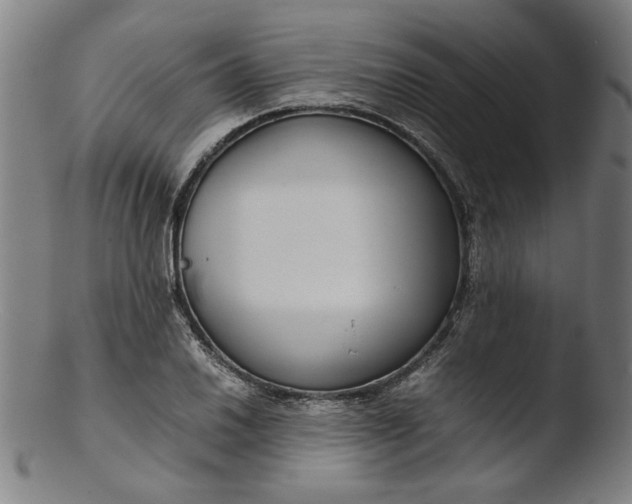 X0000103411030200809261638