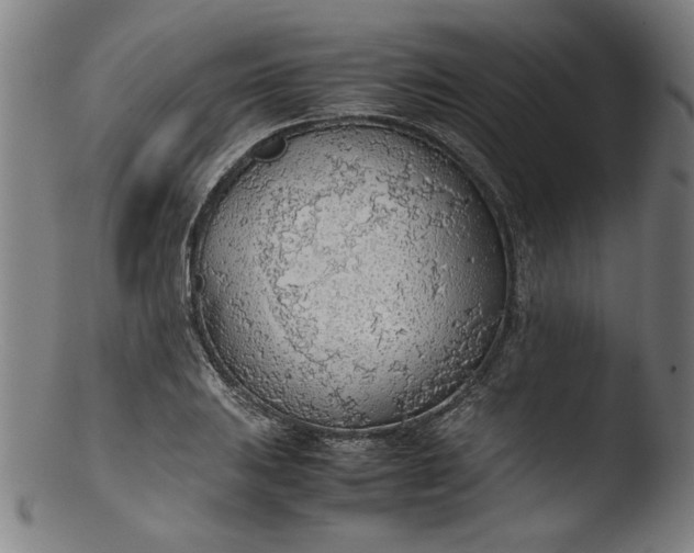 X0000103411031200809261638