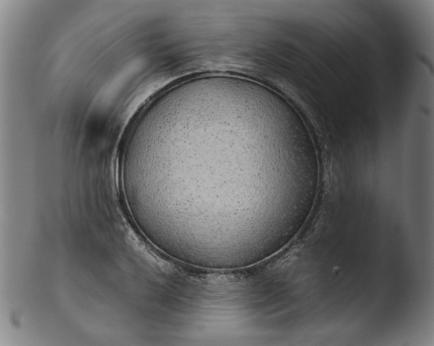 X0000103411032200809261638