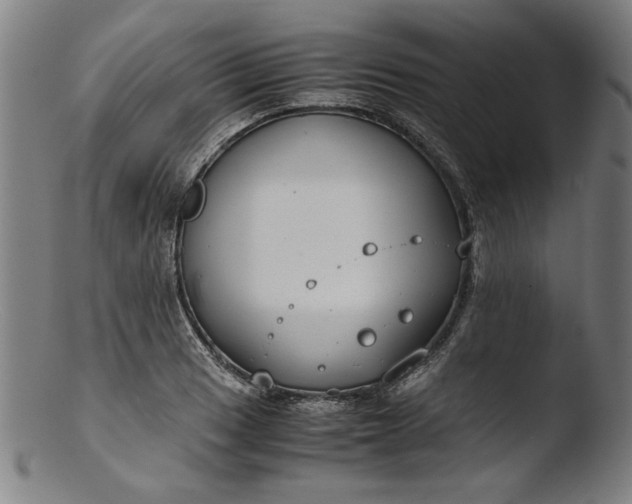 X0000103411033200809261638