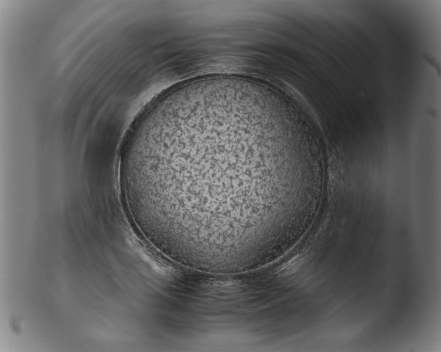 X0000103411035200809261639