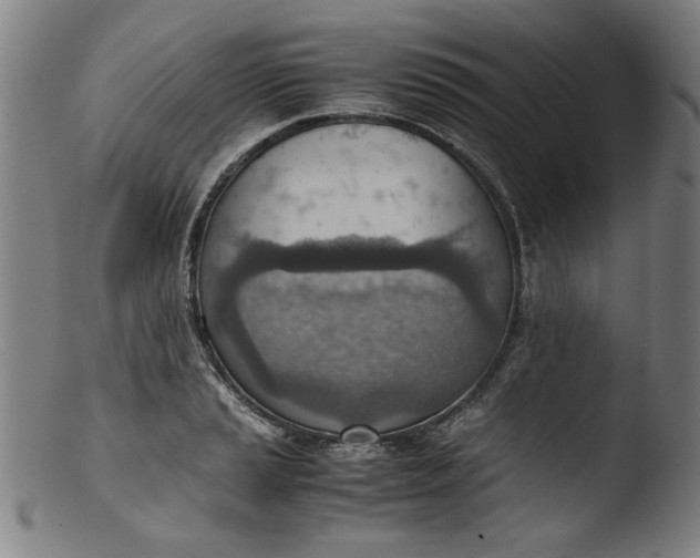 X0000103411037200809261639