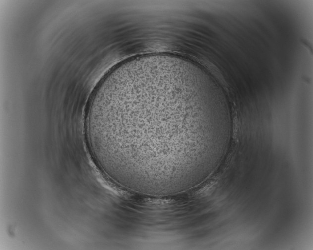 X0000103411039200809261639