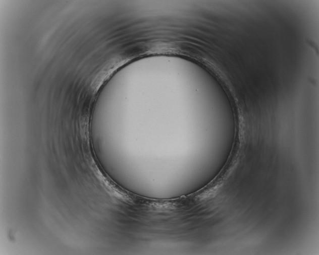 X0000103411041200809261639