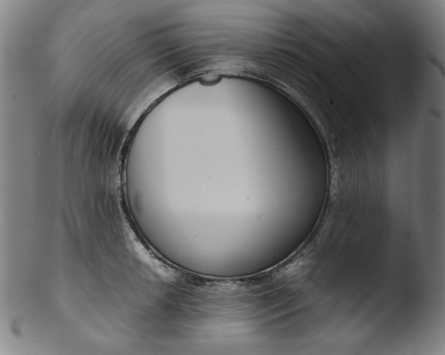 X0000103411042200809261639