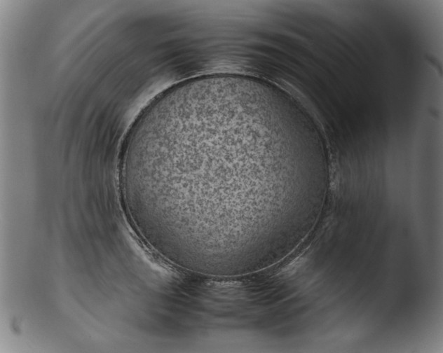 X0000103411043200809261639