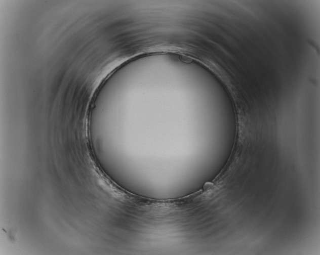 X0000103411044200809261639