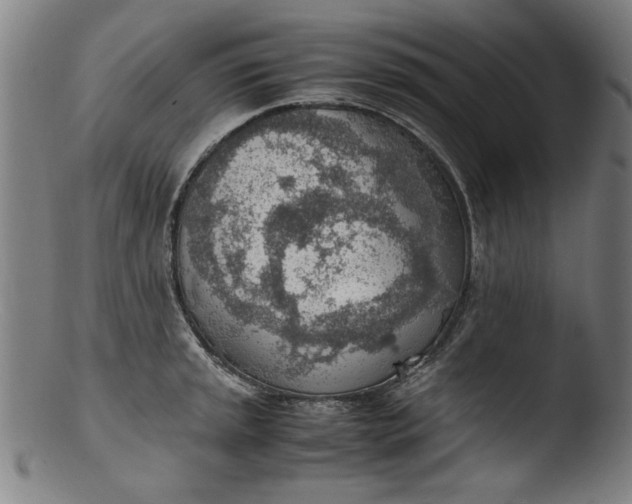 X0000103411045200809261639