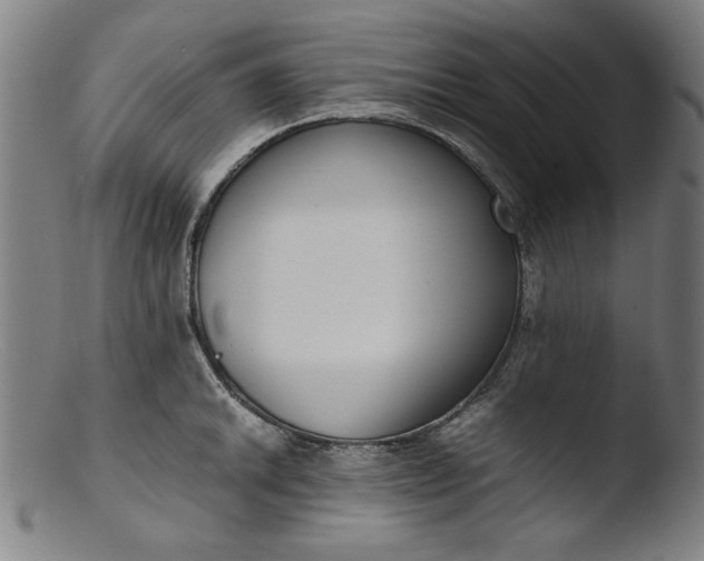 X0000103411046200809261639