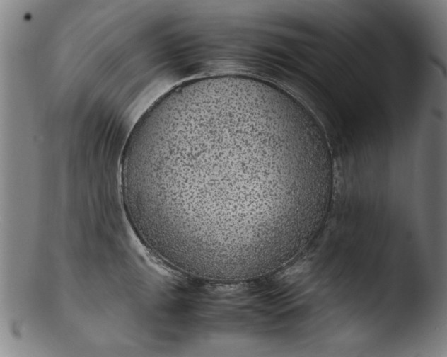 X0000103411047200809261639