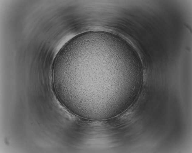 X0000103411048200809261639