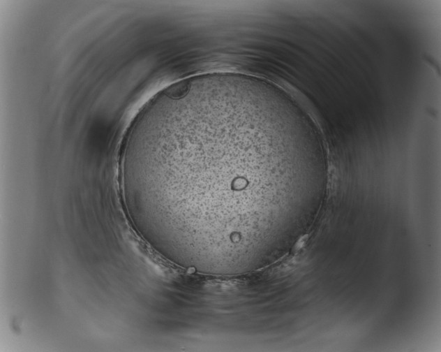 X0000103411051200809261639