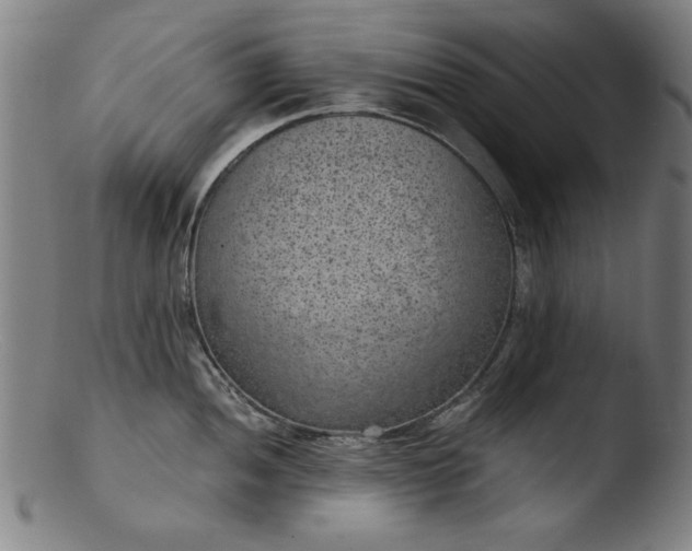 X0000103411052200809261639