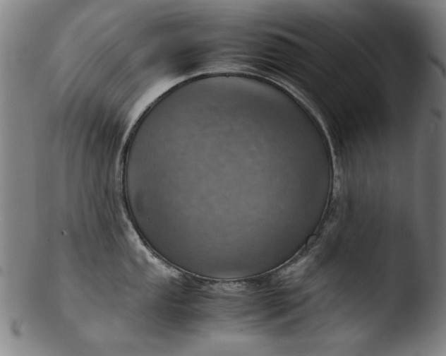 X0000103411053200809261639