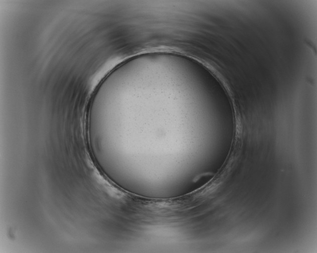 X0000103411054200809261639