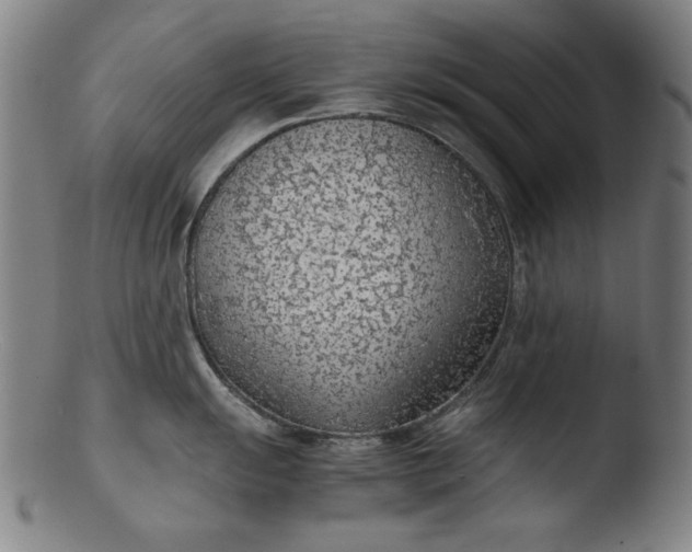 X0000103411055200809261639