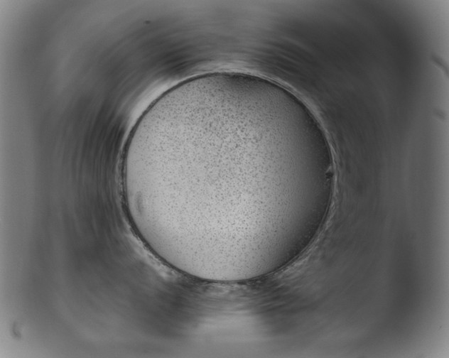 X0000103411056200809261639